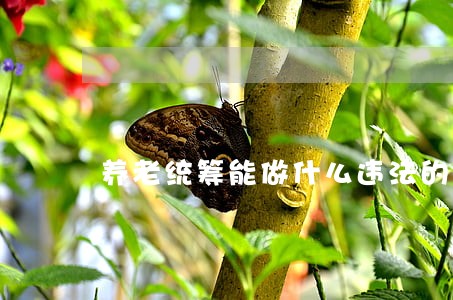 养老统筹能做什么违法的事 养老统筹能做什么违法的事
