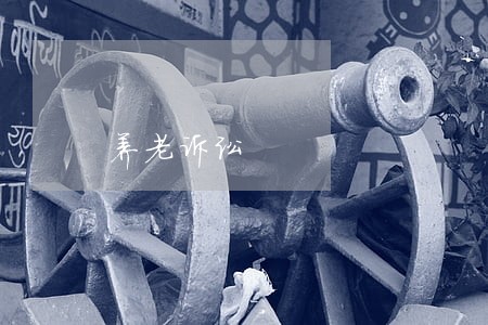 养老诉讼 养老诉讼