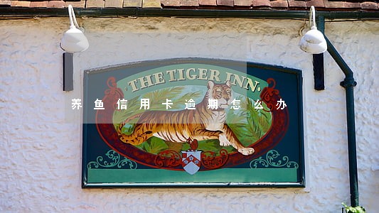 养鱼信用卡逾期怎么办 养鱼信用卡逾期怎么办