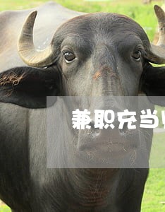 兼职充当财务违法吗 兼职充当财务违法吗