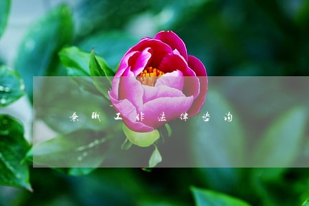 兼职工作法律咨询 兼职工作法律咨询