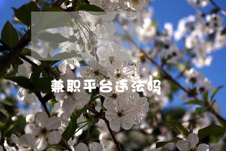 兼职平台违法吗 兼职平台违法吗