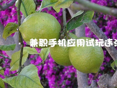 兼职手机应用试玩违法吗 兼职手机应用试玩违法吗