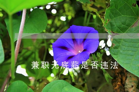 兼职无底薪是否违法 兼职无底薪是否违法