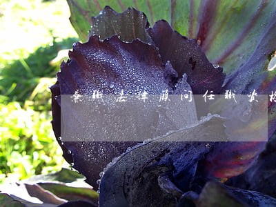 兼职法律顾问任职资格