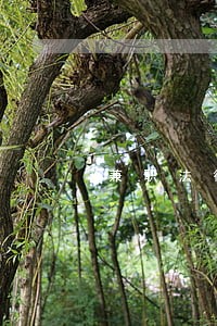 兼职法律顾问公司 兼职法律顾问公司