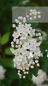 兼职法律顾问协议范本 兼职法律顾问协议范本