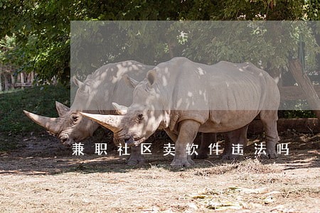 兼职社区卖软件违法吗