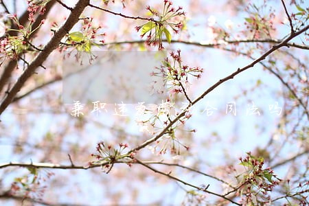 兼职违反劳动合同法吗 兼职违反劳动合同法吗