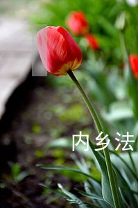 内乡法院见招拆招将其带回 内乡法院见招拆招将其带回