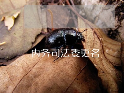 内务司法委更名 内务司法委更名