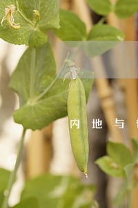 内地与香港司法判决互认 内地与香港司法判决互认