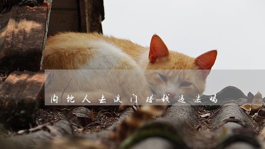 内地人去澳门赌钱违法吗