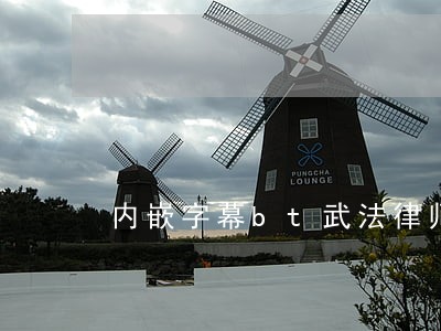 内嵌字幕bt武法律师 内嵌字幕bt武法律师