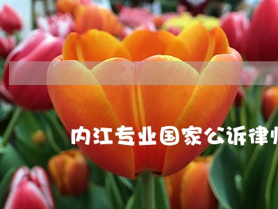 内江专业国家公诉律师 内江专业国家公诉律师