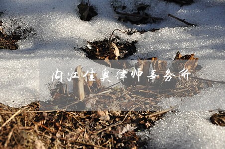 内江佳奥律师事务所 内江佳奥律师事务所
