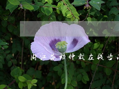 内江劳动仲裁在线咨询 内江劳动仲裁在线咨询