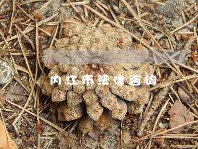 内江市法律咨询 内江市法律咨询