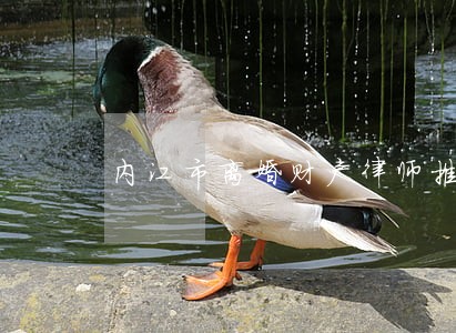 内江市离婚财产律师推荐 内江市离婚财产律师推荐