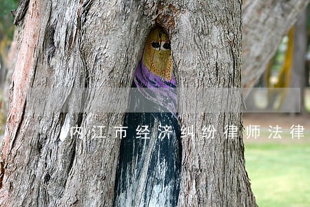 内江市经济纠纷律师法律咨询 内江市经济纠纷律师法律咨询