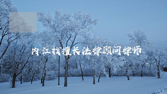 内江找擅长法律顾问律师 内江找擅长法律顾问律师