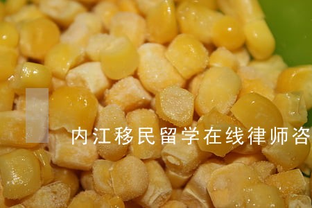 内江移民留学在线律师咨询 内江移民留学在线律师咨询