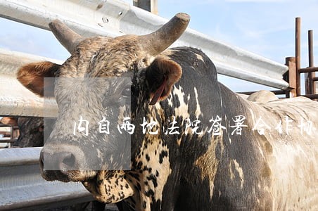内自两地法院签署合作协议 内自两地法院签署合作协议