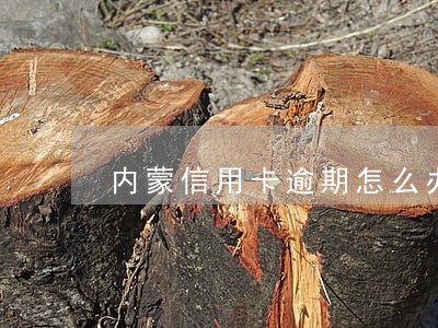 内蒙信用卡逾期怎么办