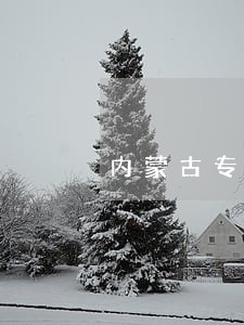 内蒙古专业债务律师咨询