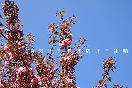 内蒙古东胜区房地产律师 内蒙古东胜区房地产律师
