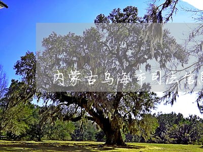 内蒙古乌海市司法信息网站