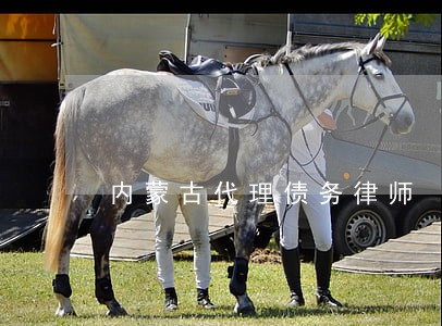 内蒙古代理债务律师 内蒙古代理债务律师