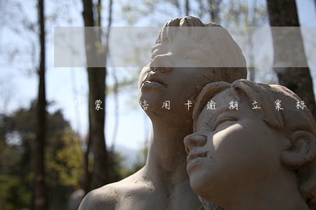 内蒙古信用卡逾期立案标准 内蒙古信用卡逾期立案标准