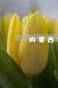 内蒙古催收说信用卡逾期 内蒙古催收说信用卡逾期
