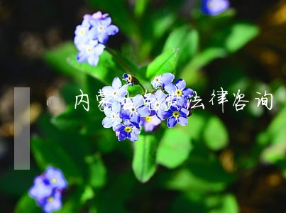 内蒙古免费法律咨询 内蒙古免费法律咨询