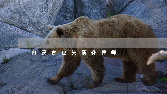内蒙古包头债务律师 内蒙古包头债务律师