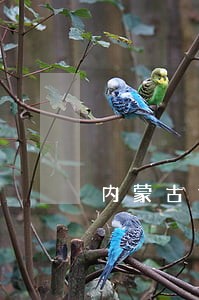 内蒙古司法学校校友录