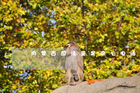 内蒙古司法鉴定中心电话号码