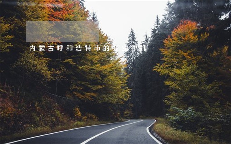 内蒙古呼和浩特市的专业律师