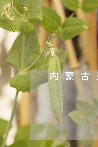 内蒙古圣泉律师事务所 内蒙古圣泉律师事务所