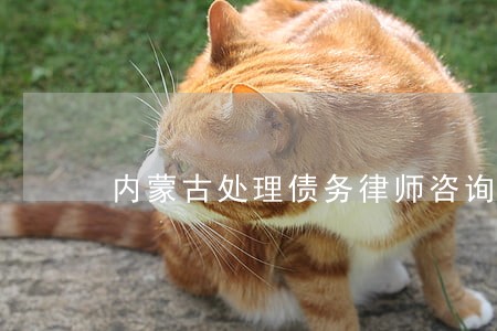 内蒙古处理债务律师咨询电话 内蒙古处理债务律师咨询电话