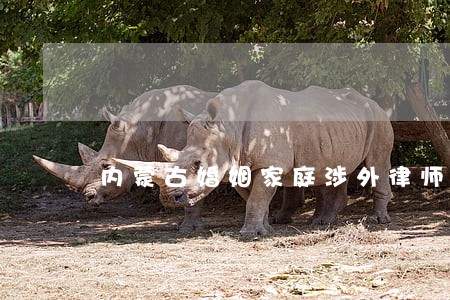 内蒙古婚姻家庭涉外律师