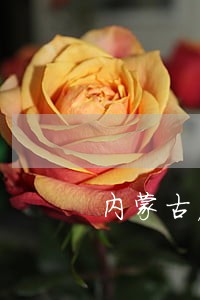 内蒙古房地产律师 内蒙古房地产律师