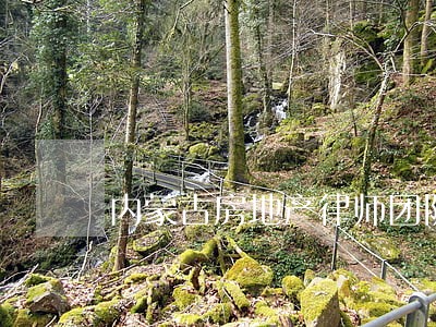 内蒙古房地产律师团队 内蒙古房地产律师团队