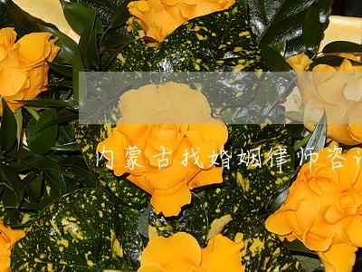 内蒙古找婚姻律师咨询 内蒙古找婚姻律师咨询