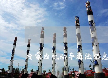 内蒙古机动车违法信息查询平台 内蒙古机动车违法信息查询平台