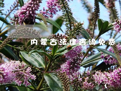 内蒙古法律咨询免费 内蒙古法律咨询免费