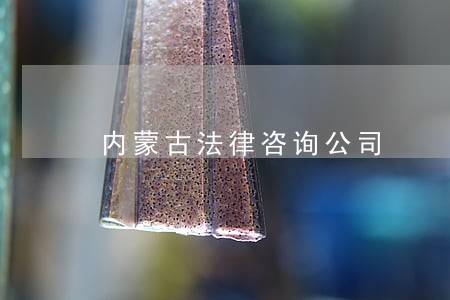 内蒙古法律咨询公司 内蒙古法律咨询公司