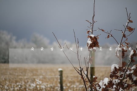 内蒙古法院书记员最新考试题