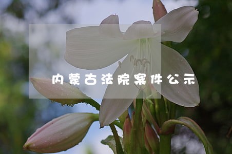 内蒙古法院案件公示